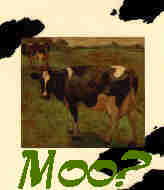 cowz1.jpg